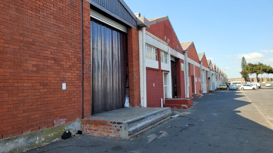To Let commercial Property for Rent in Epping Industrial Western Cape